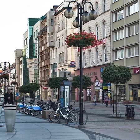 Apartment Penguin 2221 Wroclaw